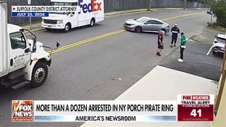 14 arrested in 'porch pirate' theft ring