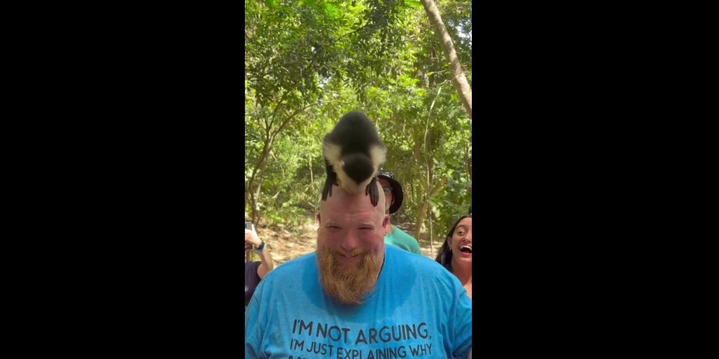 Monkey makes a Texas tourist’s head its personal salt lick in Honduras