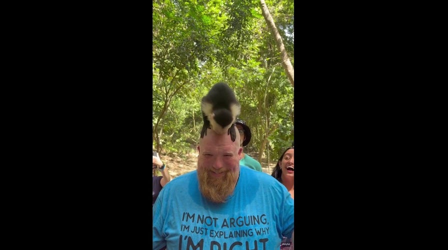 Monkey makes a Texas tourist’s caput its idiosyncratic brackish lick successful Honduras