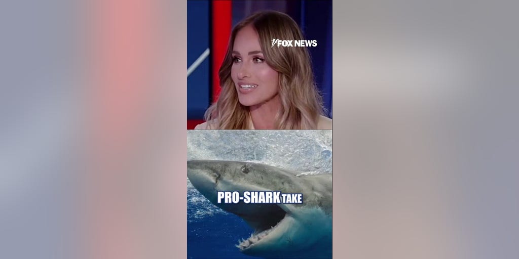 New law creates emergency alert system for shark sightings