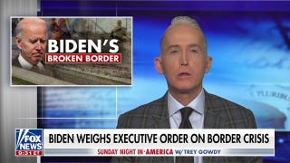 Biden seriously misjudged the mood of the American people: Trey Gowdy - Fox News