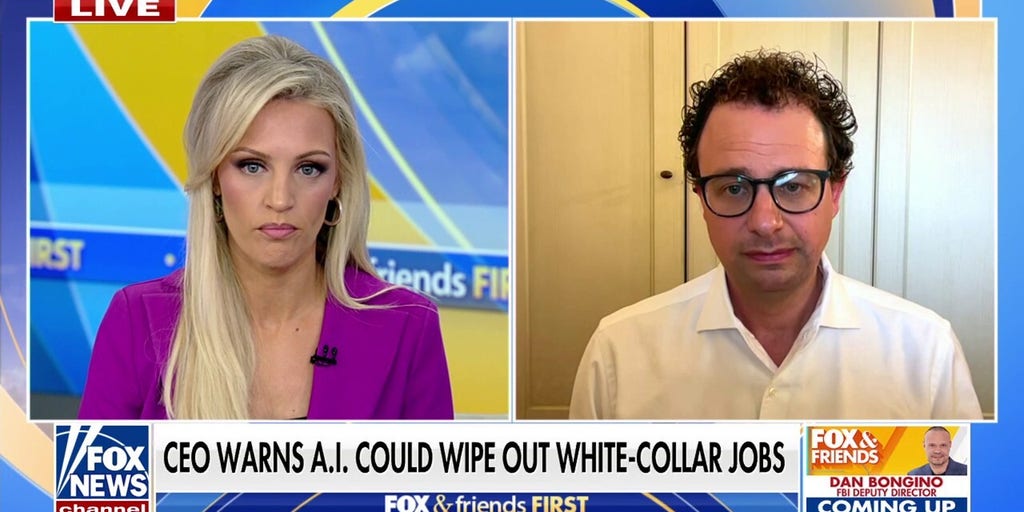 CEO warns AI could cause 'serious employment crisis' wiping out white-collar jobs | Fox News Video
