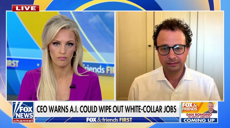 CEO warns AI could cause 'serious employment crisis' wiping out white-collar jobs