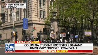 Anti-Israel protesters at Columbia seeking amnesty, demand university 'divest' from Israel - Fox News