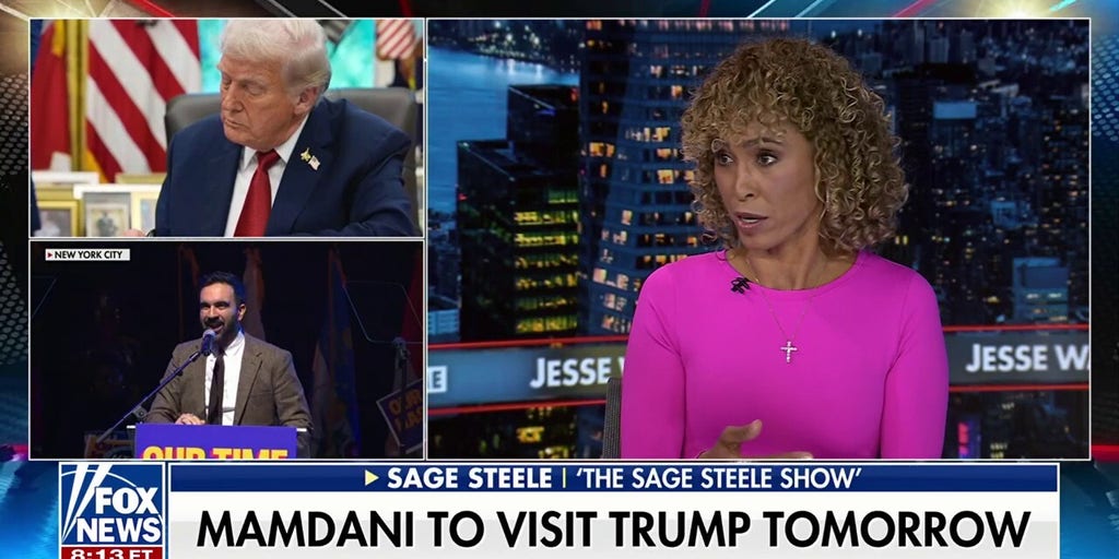 Democrats have become ‘complacent’ and ‘don’t know how to handle adversity’: Sage Steele
