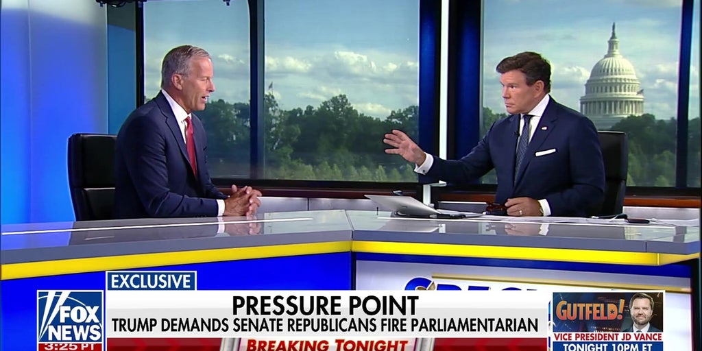 Trump’s endorsement is the ‘gold standard’ in politics, Sen Thune says