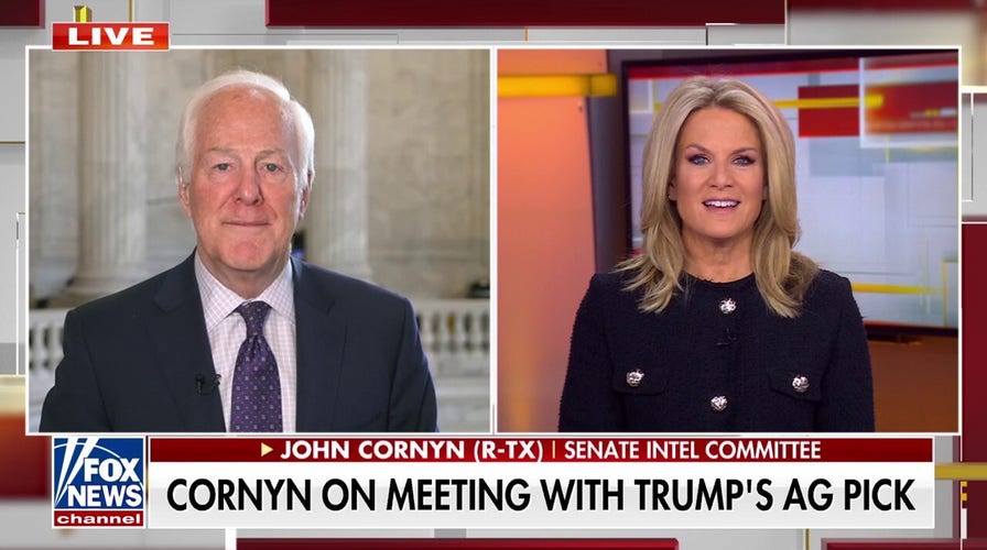 This was a change election, DOGE adds to it: Sen. Cornyn