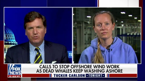 Are offshore windmills responsible for whales washing up dead?