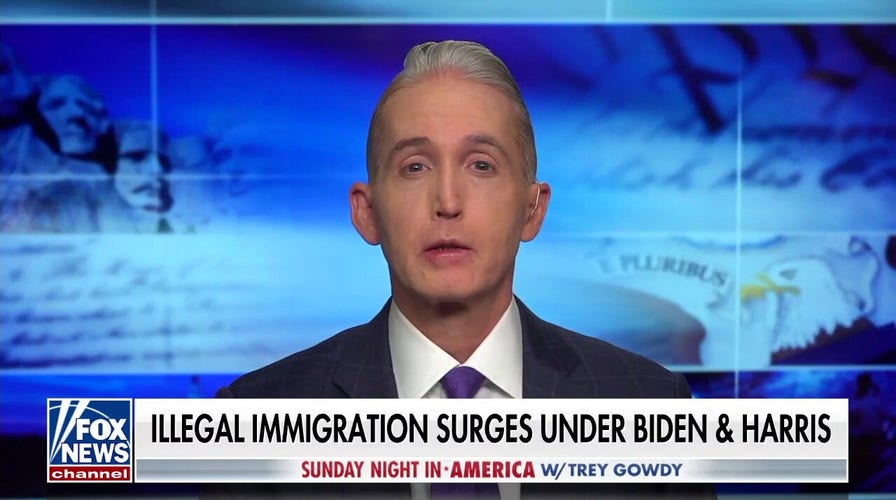 Gowdy: Biden will be forced to confront the country's true perspective on immigration come November