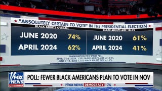 Biden faces waning support among Black Americans: Poll - Fox News