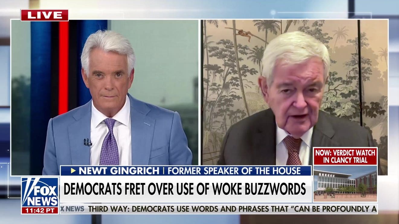 Newt Gingrich warns of 'incipient civil war' inside Democratic Party