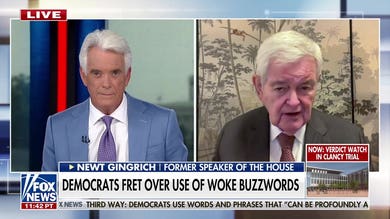 Newt Gingrich warns of 'incipient civil war' inside Democratic Party