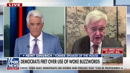 Newt Gingrich warns of 'incipient civil war' inside Democratic Party