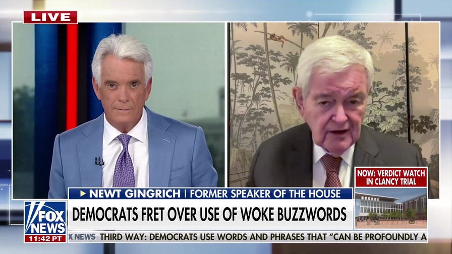 Newt Gingrich warns of 'incipient civil war' inside Democratic Party