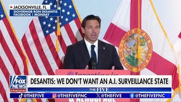 DeSantis bans Flock safety cameras from Florida state highways