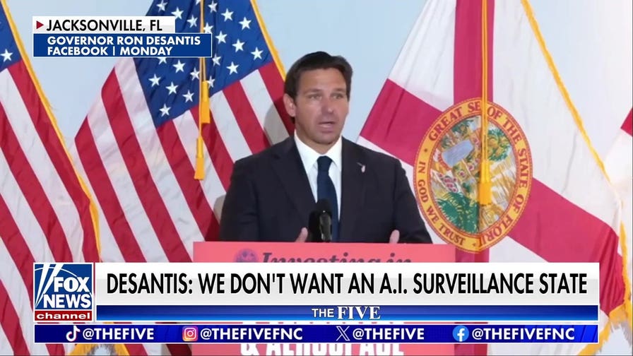DeSantis bans Flock safety cameras from Florida state highways