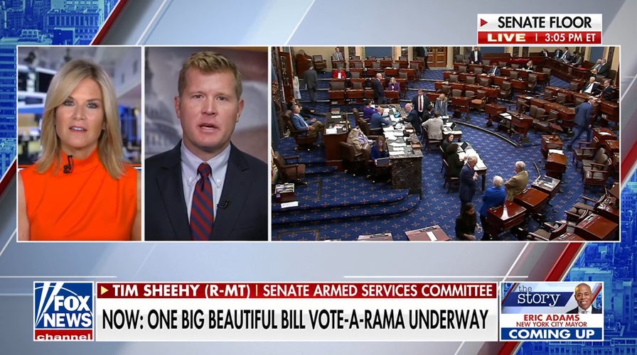 Trump’s ‘big, beautiful bill’ will address the ‘explosion in spending over Covid, says GOP sen