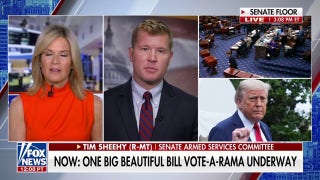Trump’s ‘big, beautiful bill’ will address the ‘explosion in spending over Covid, says GOP sen