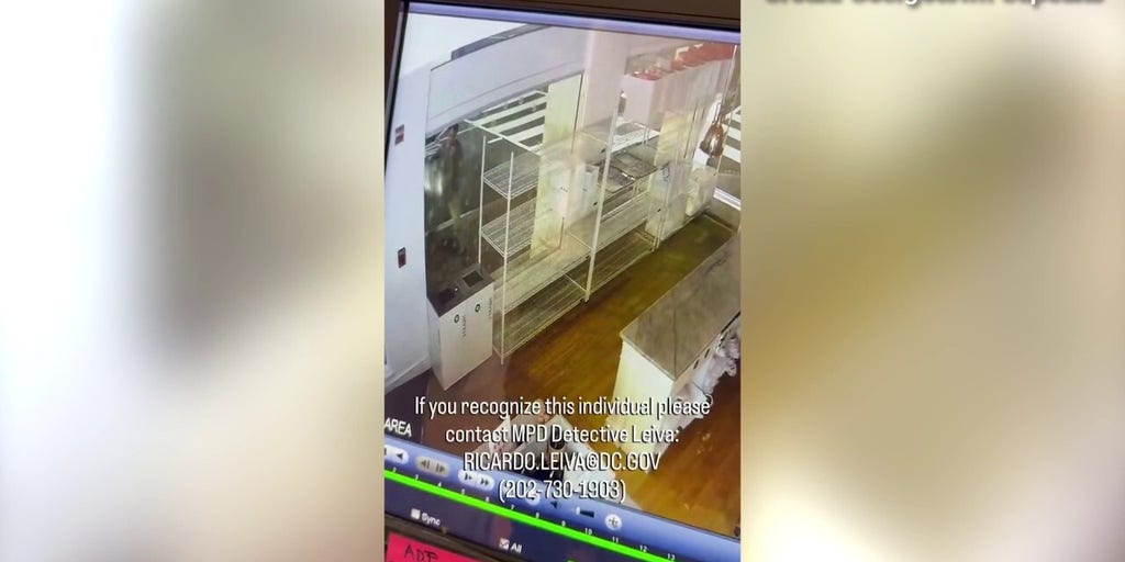 Video shows man throwing beer keg through popular DC bakery window