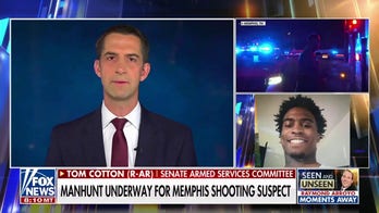 Tom Cotton: Dems 'won't treat criminals as the criminals they are' 