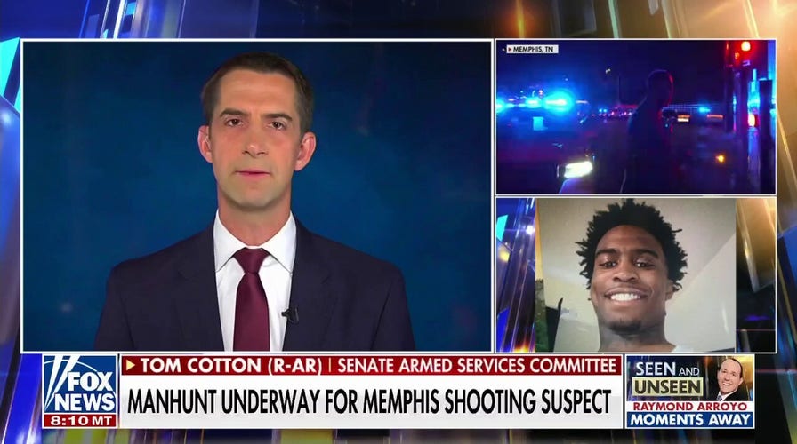 Tom Cotton: Dems 'won't treat criminals as the criminals they are' 