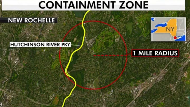 Should Americans expect more coronavirus containment zones in the US?