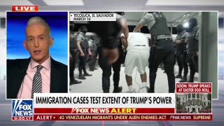 Gowdy calls out Van Hollen's El Salvador trip: Call the victims and I'll take you more seriously