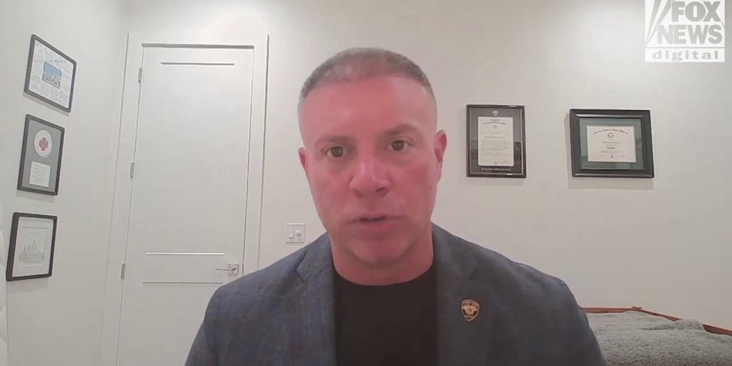 Expert breaks down 'No Kings Day' protest safety ahead of mass rallies: 'Look for the shift in energy'