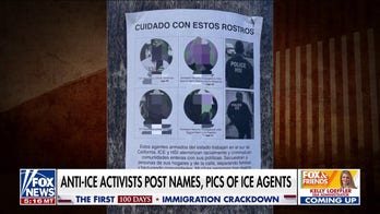 Anti-ICE activists dox Los Angeles agents amid migrant crackdown: 'Targets on their backs' 