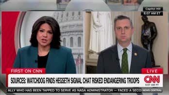 Democratic congressman claims Trump's ICE is 'primarily going after innocent people, including US citizens'