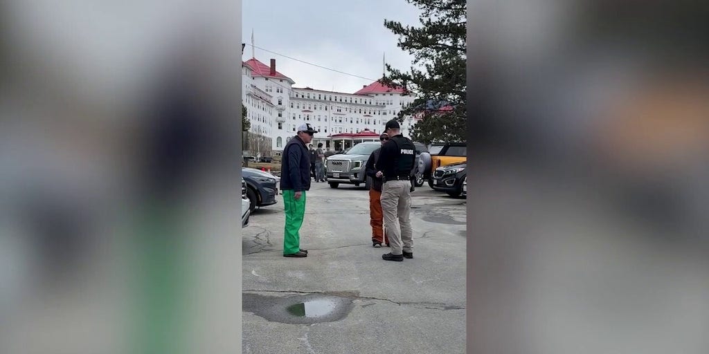 Vandal caught on video slashing Tesla confronted by police