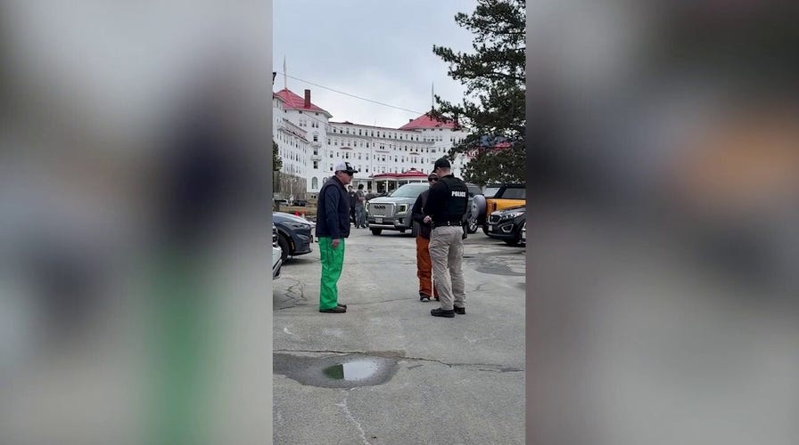 Vandal caught on video slashing Tesla confronted by police