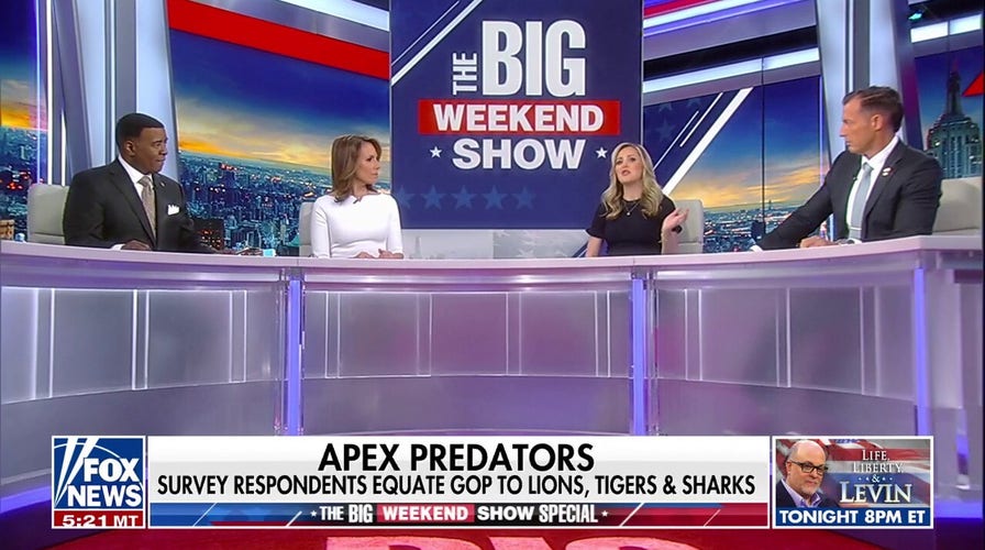 Republicans are learning how to fight back, says Taylor Riggs