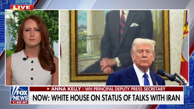 Trump halts planned military attack against Iran