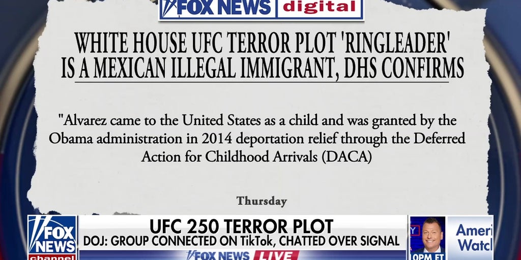 DOJ releases new details on White House UFC terror plot ‘ringleader’