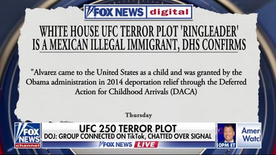 DOJ releases new details on White House UFC terror plot ‘ringleader’
