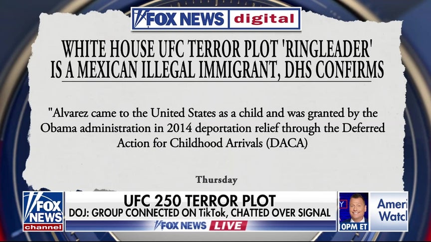 DOJ releases new details on White House UFC terror plot ‘ringleader’
