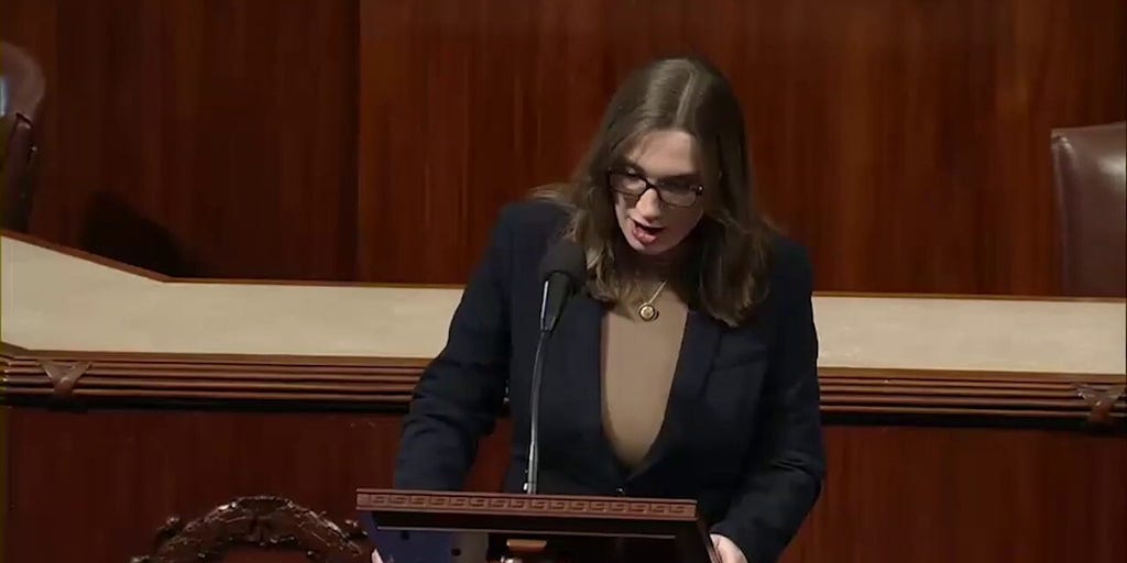 Rep Andrew Clyde refers to trans Rep Sarah McBride as 'the gentleman from Delaware'