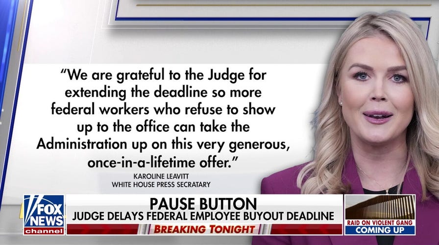 Trump federal employee buyout deadline delayed by judge as Democrats remain wary