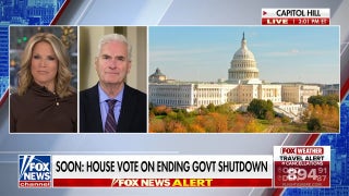 Rep. Emmer warns Democrats ‘did damage to the American people’ amid shutdown fight - Fox News