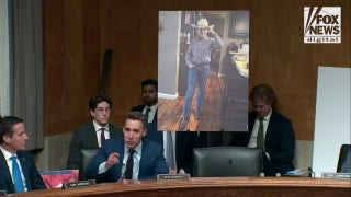 Josh Hawley ‘voicing the frustration’ of average Americans about migrant crime, says immigration expert - Fox News