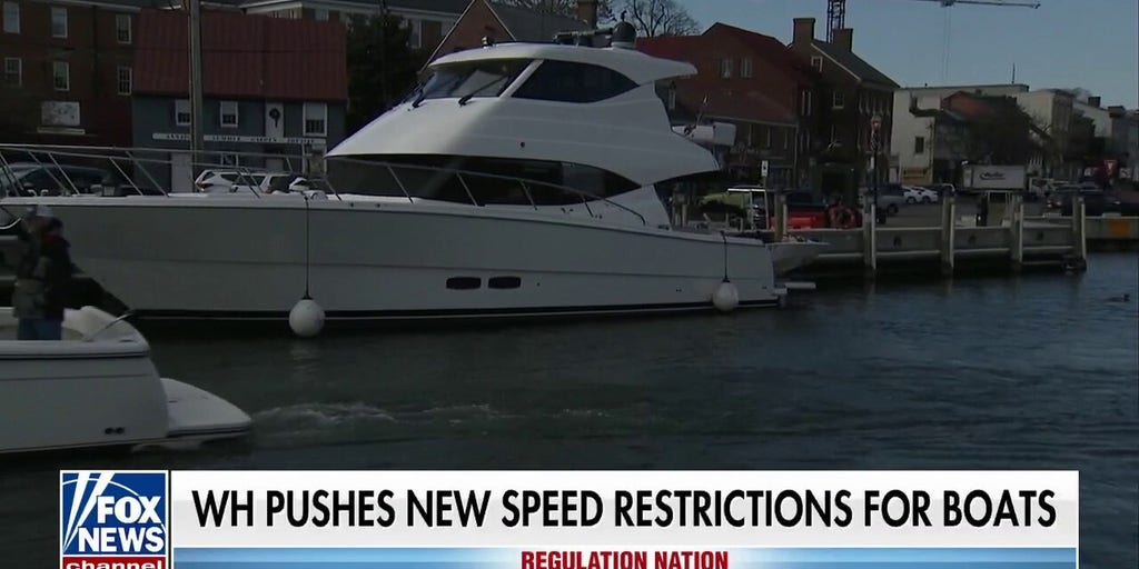 white-house-pushes-speed-restrictions-on-boats-to-protect-endangered