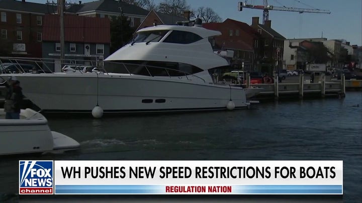 White House pushes speed restrictions on boats to protect endangered species