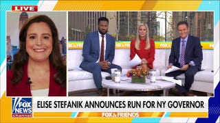 Elise Stefanik announces run for New York governor after Mamdani's mayoral win