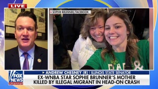 Pritzker under fire after illegal immigrant reportedly kills ex-WNBA star's mom in head-on collision