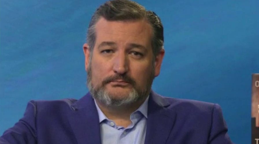 Sen. Ted Cruz on Bush, Gore election coming down to Supreme Court