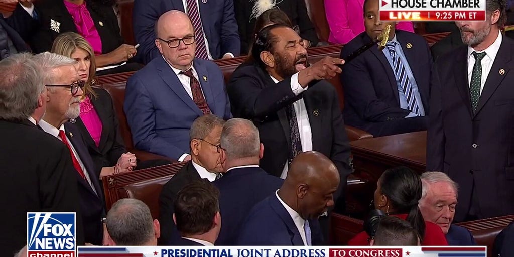 Democrat removed from House chamber for disrupting Trump address