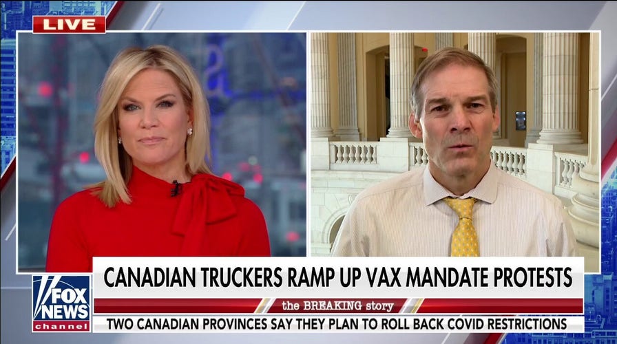 The Canadian trucker protest is about fighting for freedom: Jordan