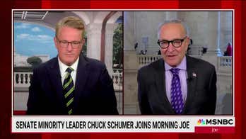 Chuck Schumer slams GOP's claim that Democrats want to give healthcare to illegals as a 'effing lie'