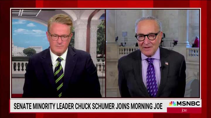 Chuck Schumer slams GOP's claim that Democrats want to give healthcare to illegals as an 'effing lie'